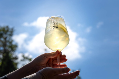 Spritz glas achterhoekse limoncello zon