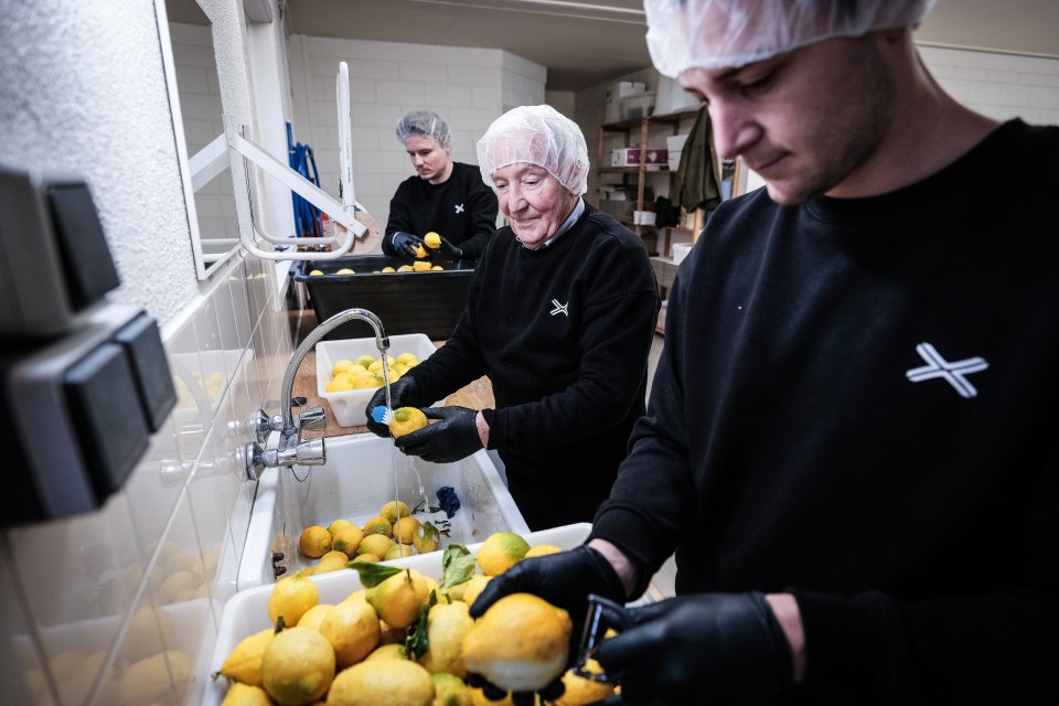 team limoncello